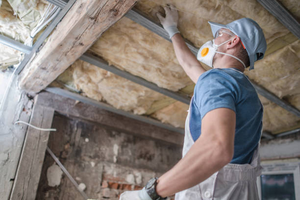 Eco-Friendly or Green Insulation Solutions in Newmanstown, PA